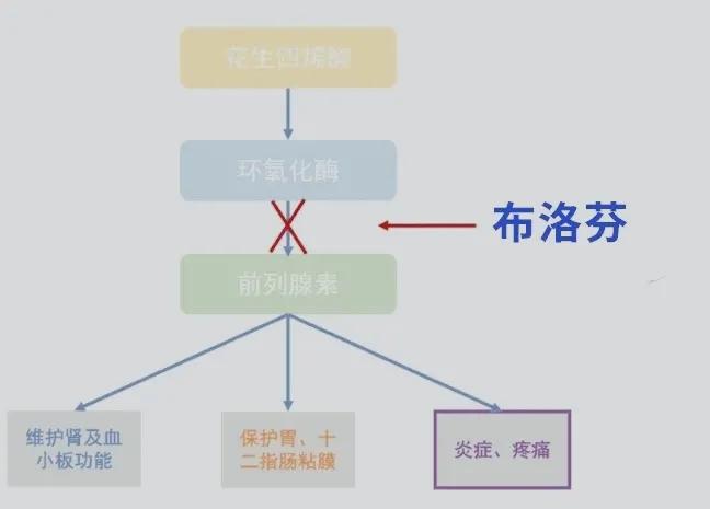 布洛芬大姨妈副作用,布洛芬和复方大青叶合剂