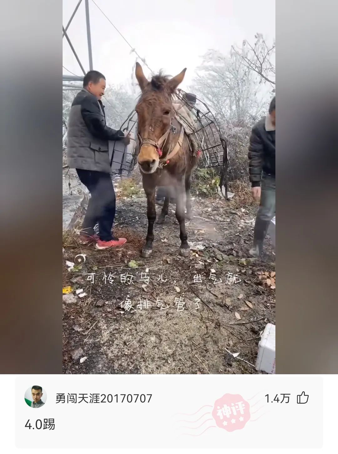 神回复：球衣没到，上淘宝买啊，三天能到