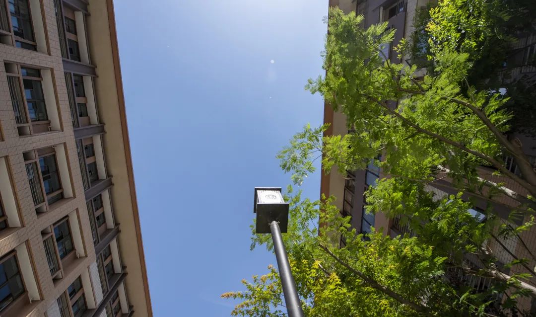 南京燕子矶中学特色,南京燕子矶中学在南京市排名