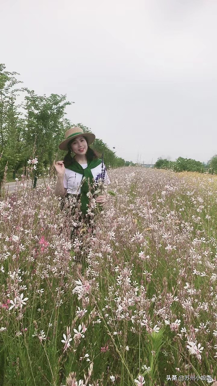 苏州话中的三字句,苏州话基本词语