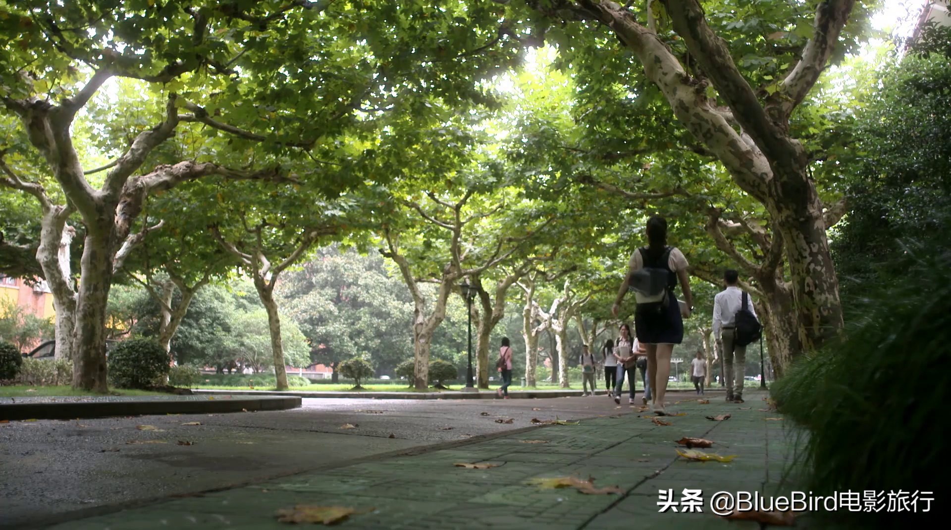 《何以笙箫默》取景地合集：何以爱恋游苏沪，琴瑟鸣于上师大2