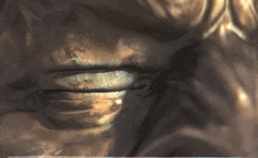 国产科幻动画不输灵笼,科幻动画片推荐大片9.0以上评分