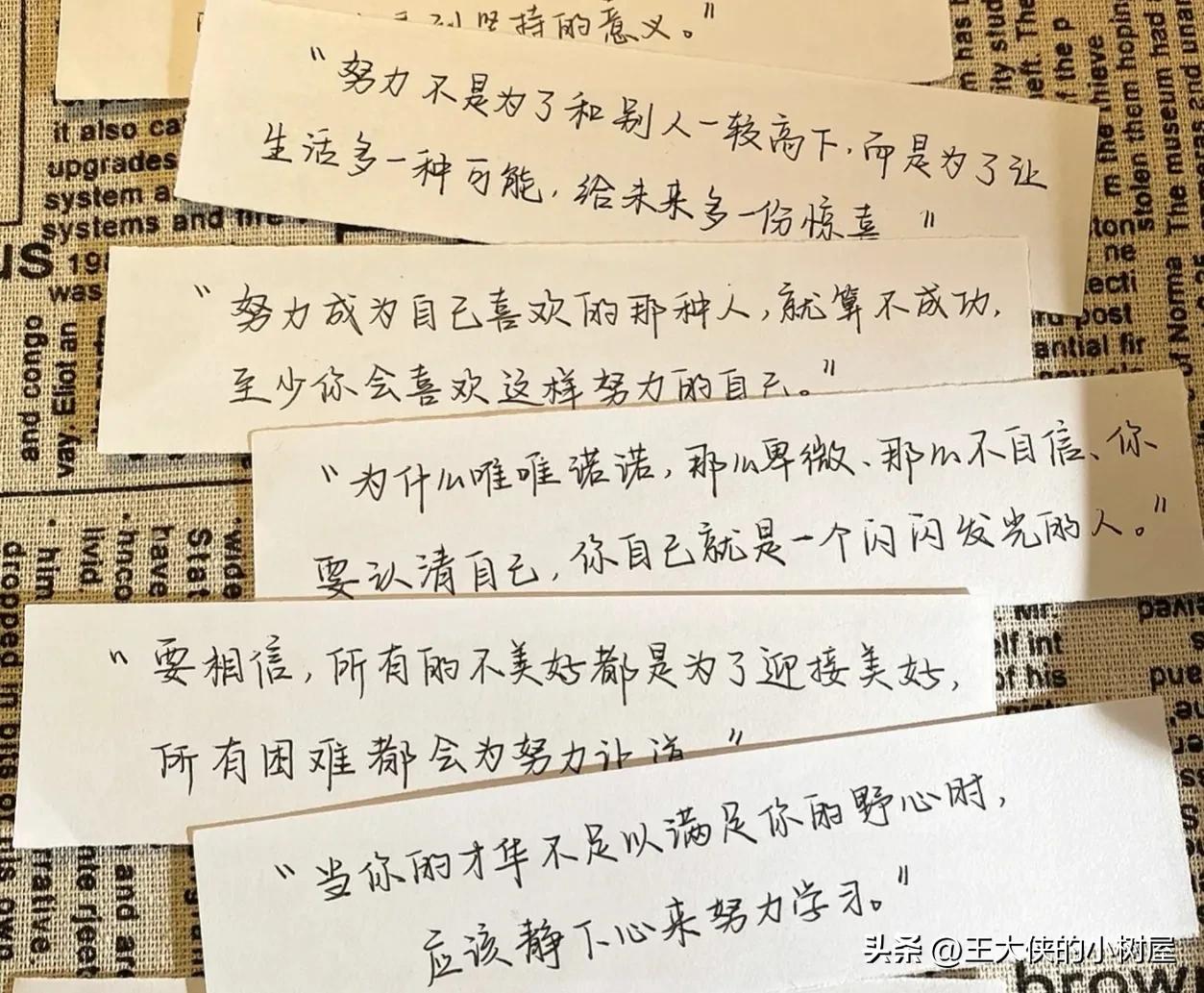 最适合自己投资的策略,新手入门最好的投资方法