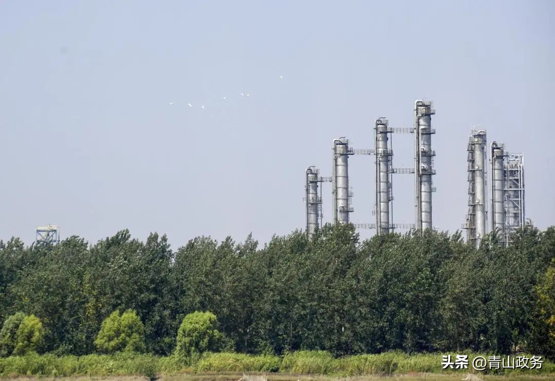 助力我市碳达峰行动落地,碳达峰金融