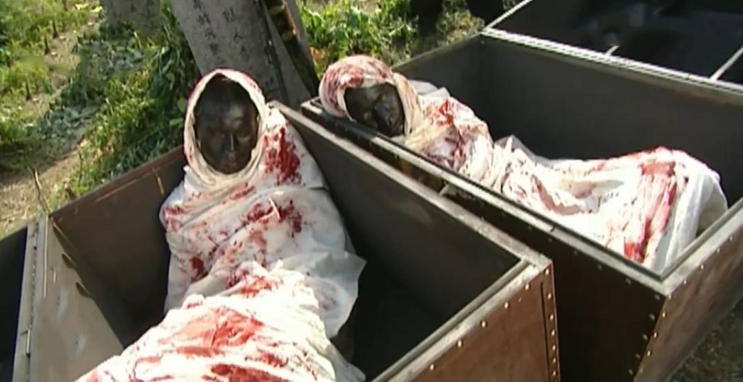 少年包青天2判案,少年包青天2桃源村杀人案大结局