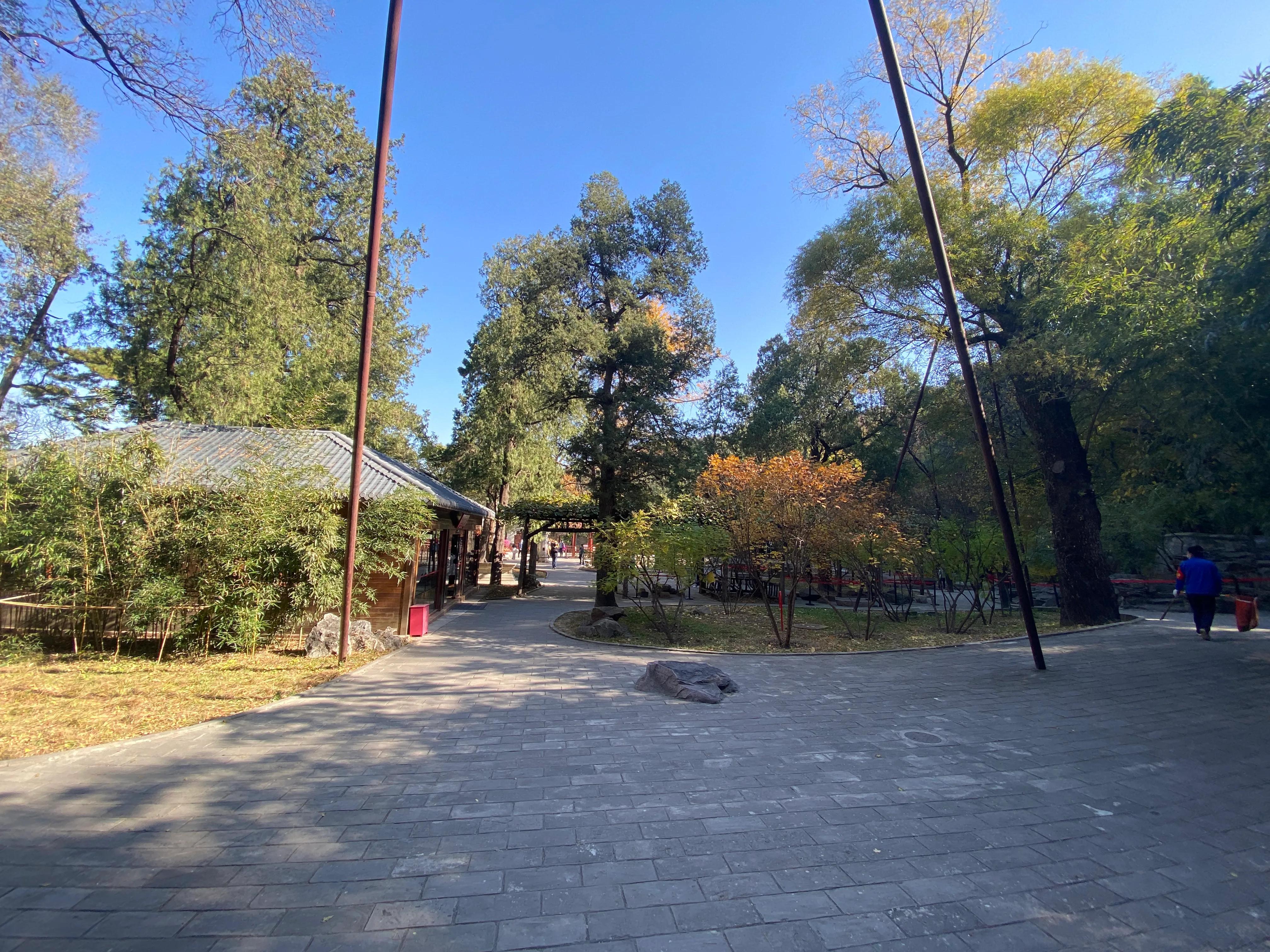 香山风景区打卡攻略,北京香山公园打卡