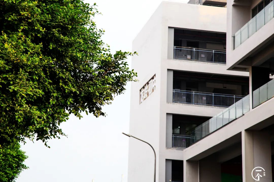 深圳这个不起眼的城中村，盛产学霸？