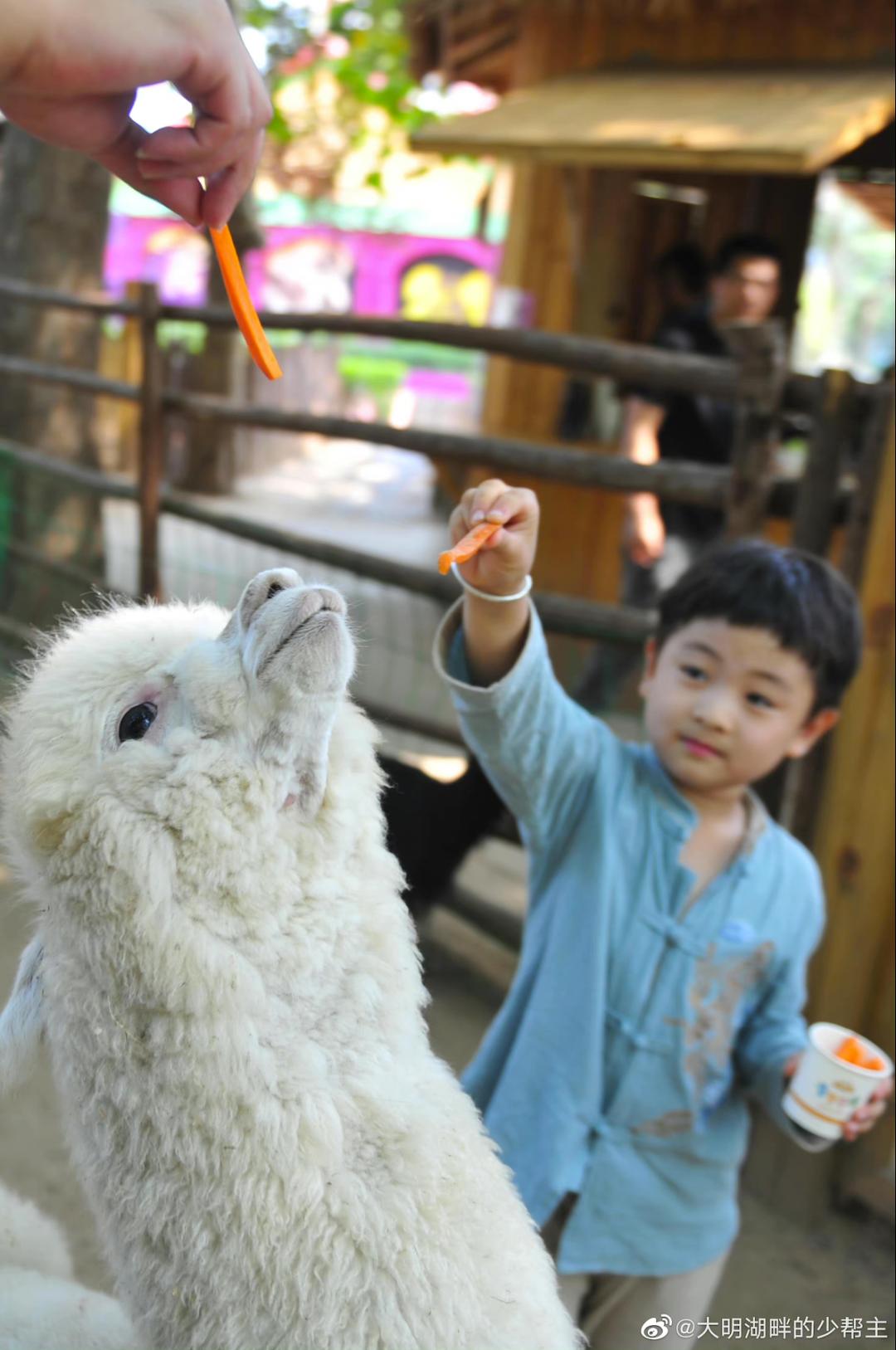 济南旅游公交专线有哪些 (济南近郊公交直达的游玩场所)