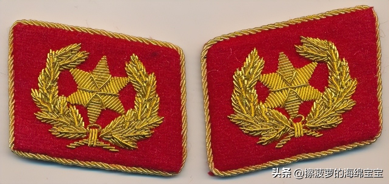 纳粹冲锋队用的什么枪,纳粹德军军衔图解