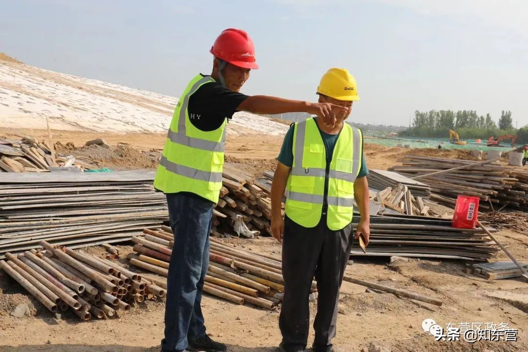 东营泮水公园火爆,东营泮水公园有植物吗