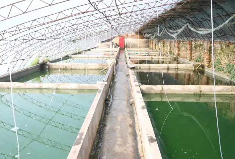 养殖热带鱼需要些什么药,养殖热带鱼需要多少钱