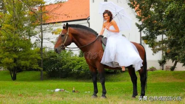 蒙古姑娘出嫁要陪嫁多少东西,蒙古姑娘出嫁仪式