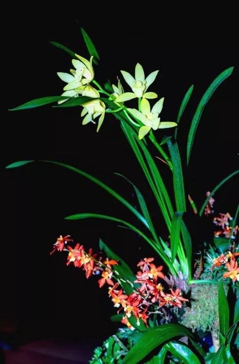 生命脆弱珍惜当下的经典语录,珍惜生命珍惜当下珍惜彼此