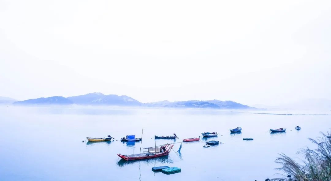 几月出生水旺,你几月出生就代表你是什么