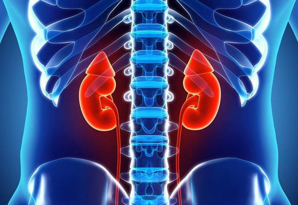 慢性肾衰透析吃中药可以治好吗,女性肾炎中医治疗会断根吗