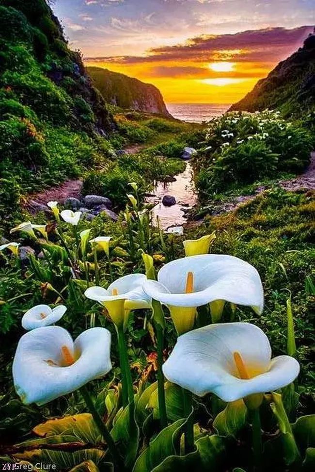 太美了100个世界级美景,全球100张绝世美景