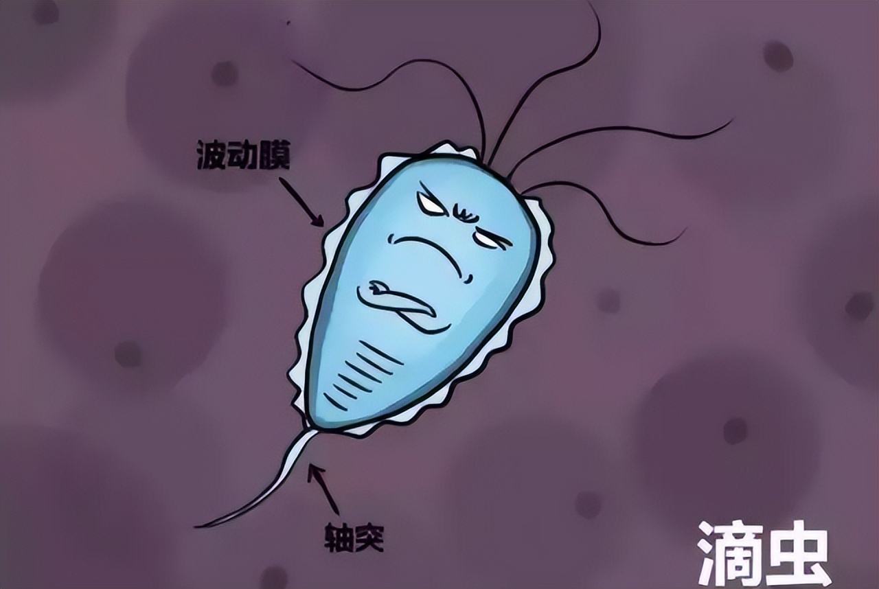 8种能通过“性传播”的病，你知道几个？建议大家多多了解学习