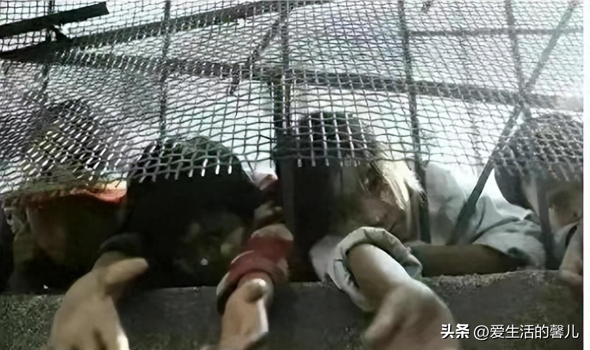 缅北训狗真实事件,缅北训狗场上万女性被困