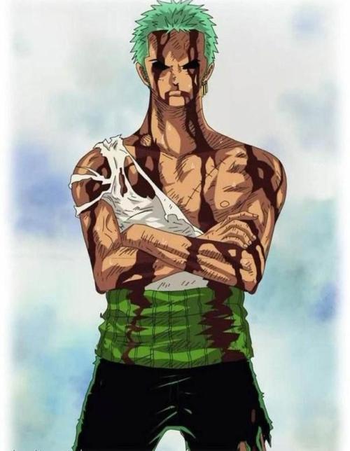 海贼王索隆刀的变化,海贼王索隆现九刀流