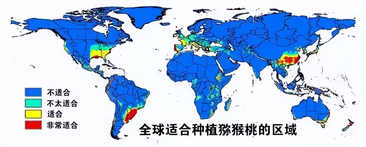 新西兰蒂普基猕猴桃特色小镇，如何实现从区域品牌到享誉世界？