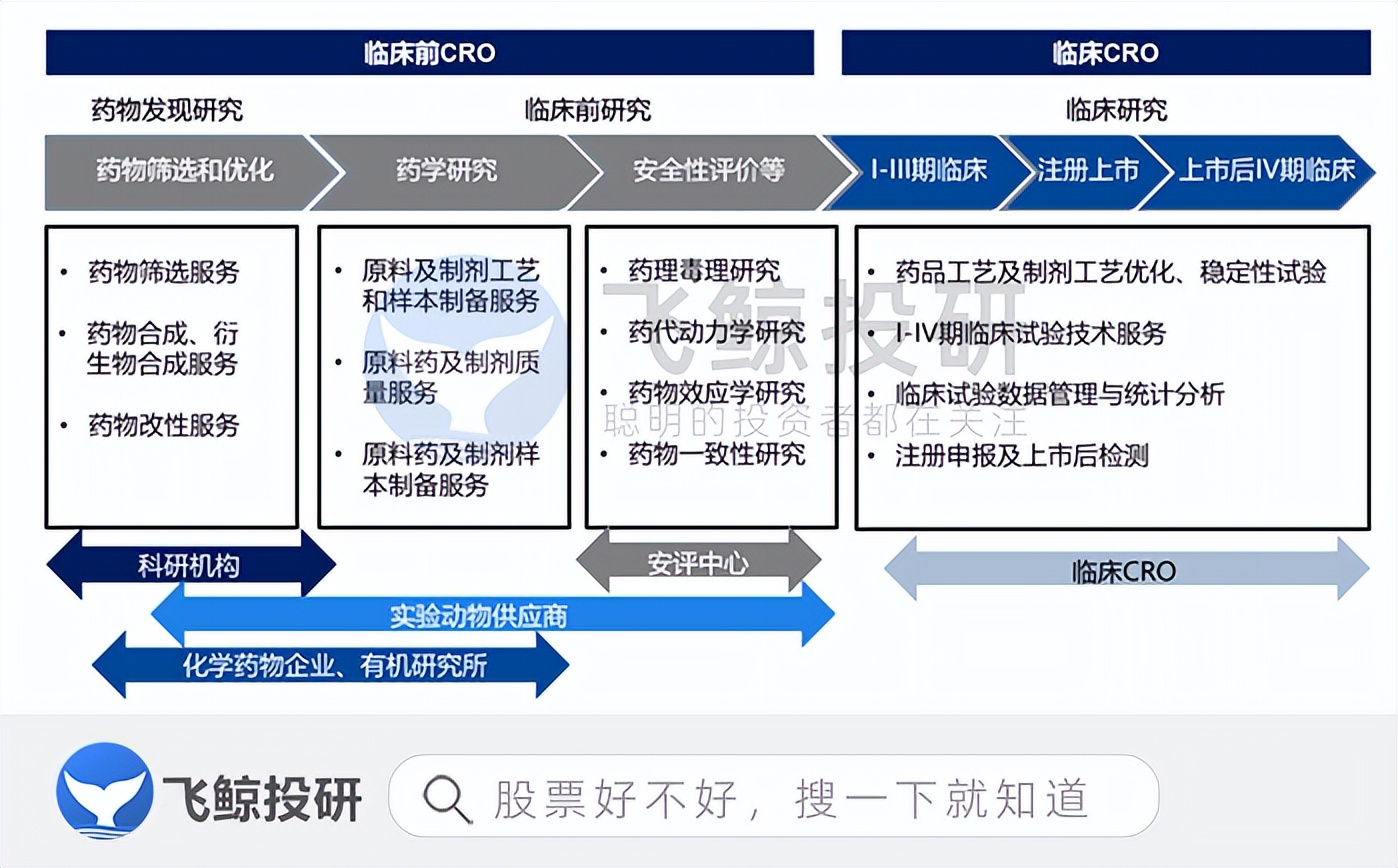 一只小白鼠多少块钱,一只小白鼠要多少钱