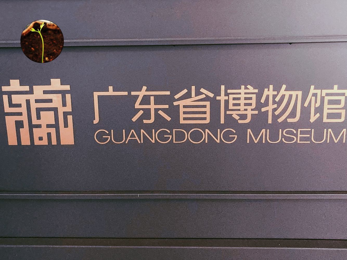 陶瓷鉴别入门教程,有关扫盲资料