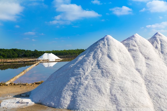 中国盐场前十名,中国十大盐都