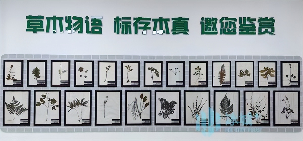 科学六一活动,六一参观九号科学宇宙探索馆