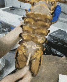 女孩子问我404是什么意思,女孩子说404是什么意思