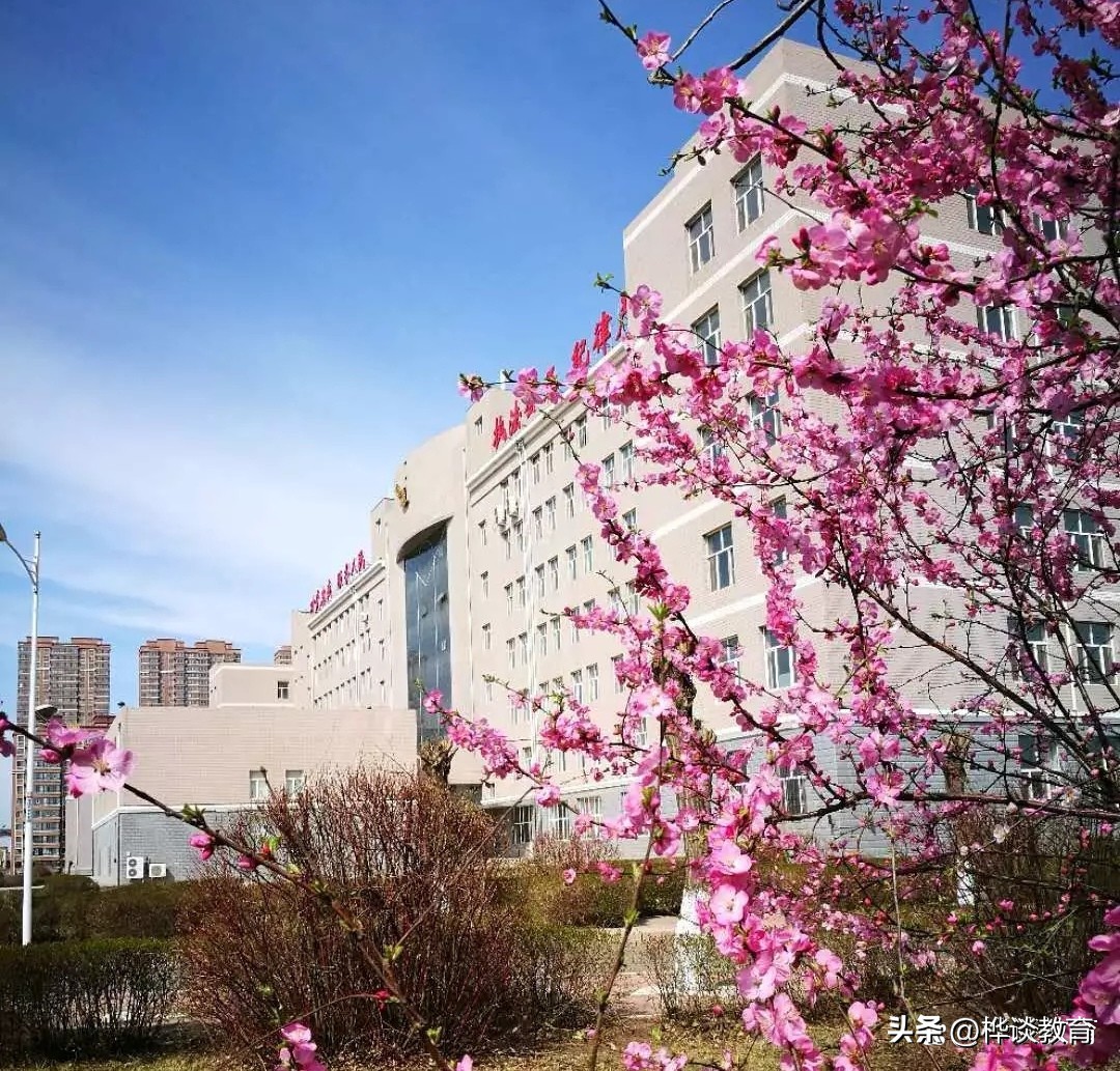 入警率高的分数低的本科警校,入警率高的警校2019录取分数线