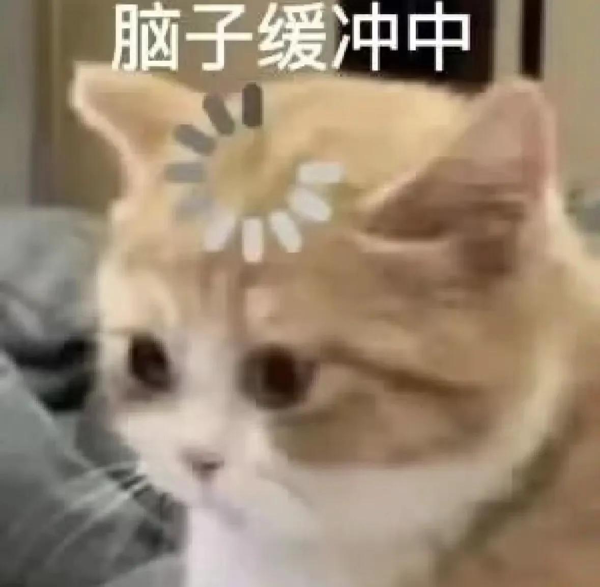 cpu烧干了的起源,cpu烧干了网络用语