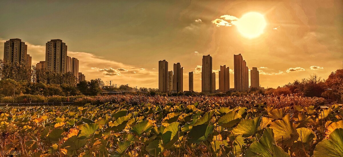 泡纯天然温泉地方推荐,冬天哪里温泉度假村最好
