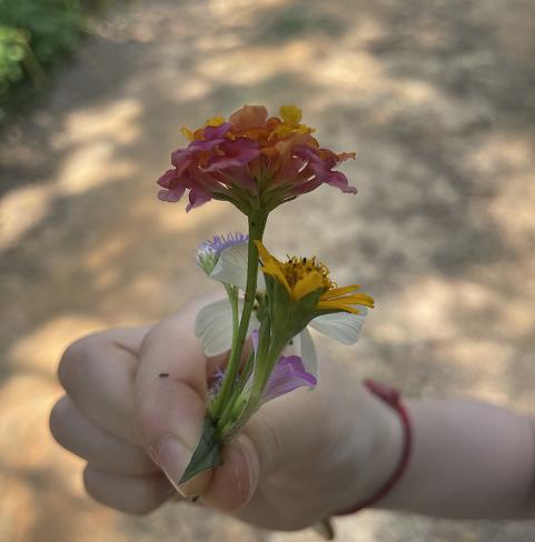 马峦山攻略,马峦山之行