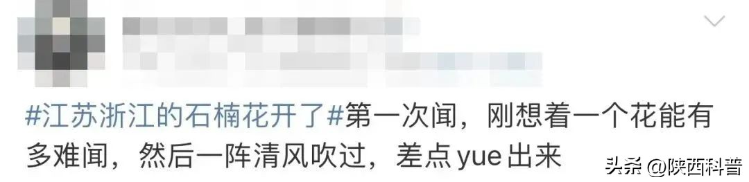 科技之春|“又腥又臭”上热搜！网友：左右“为楠”……专家：其他优点突出，忍耐一下