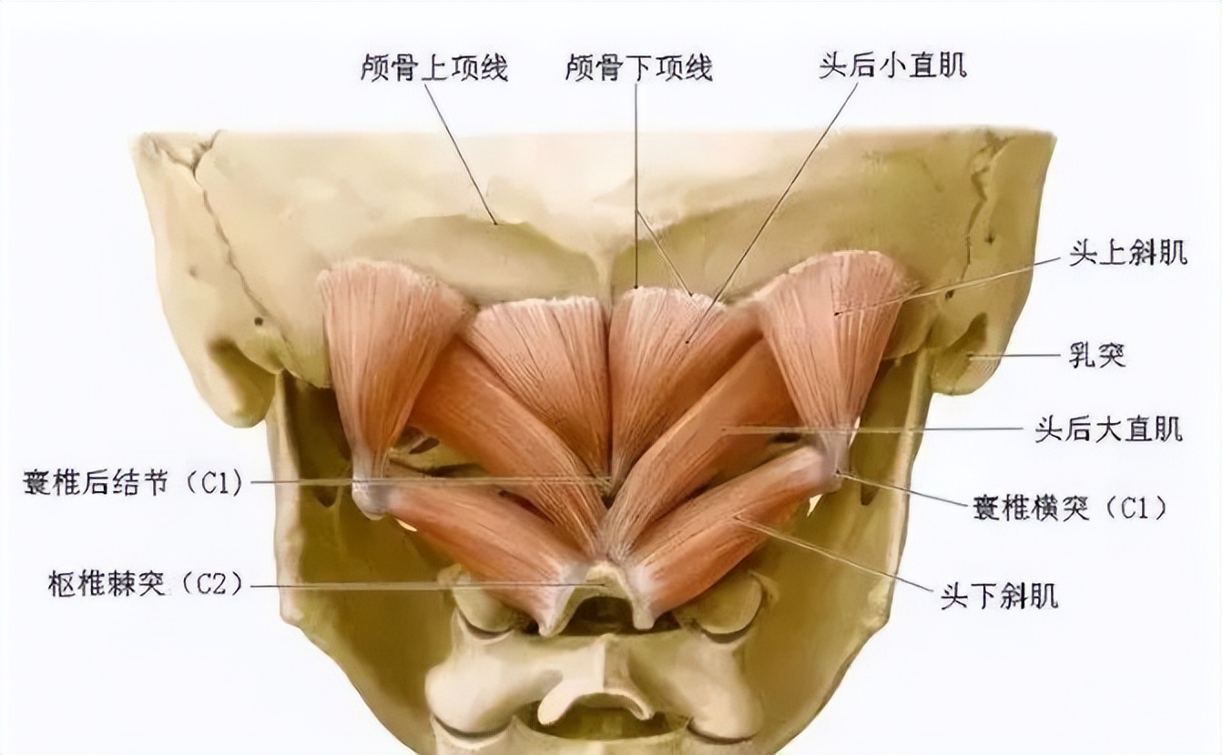 针刺放血哪些穴位治疗失眠,针刺放血治疗失眠吗