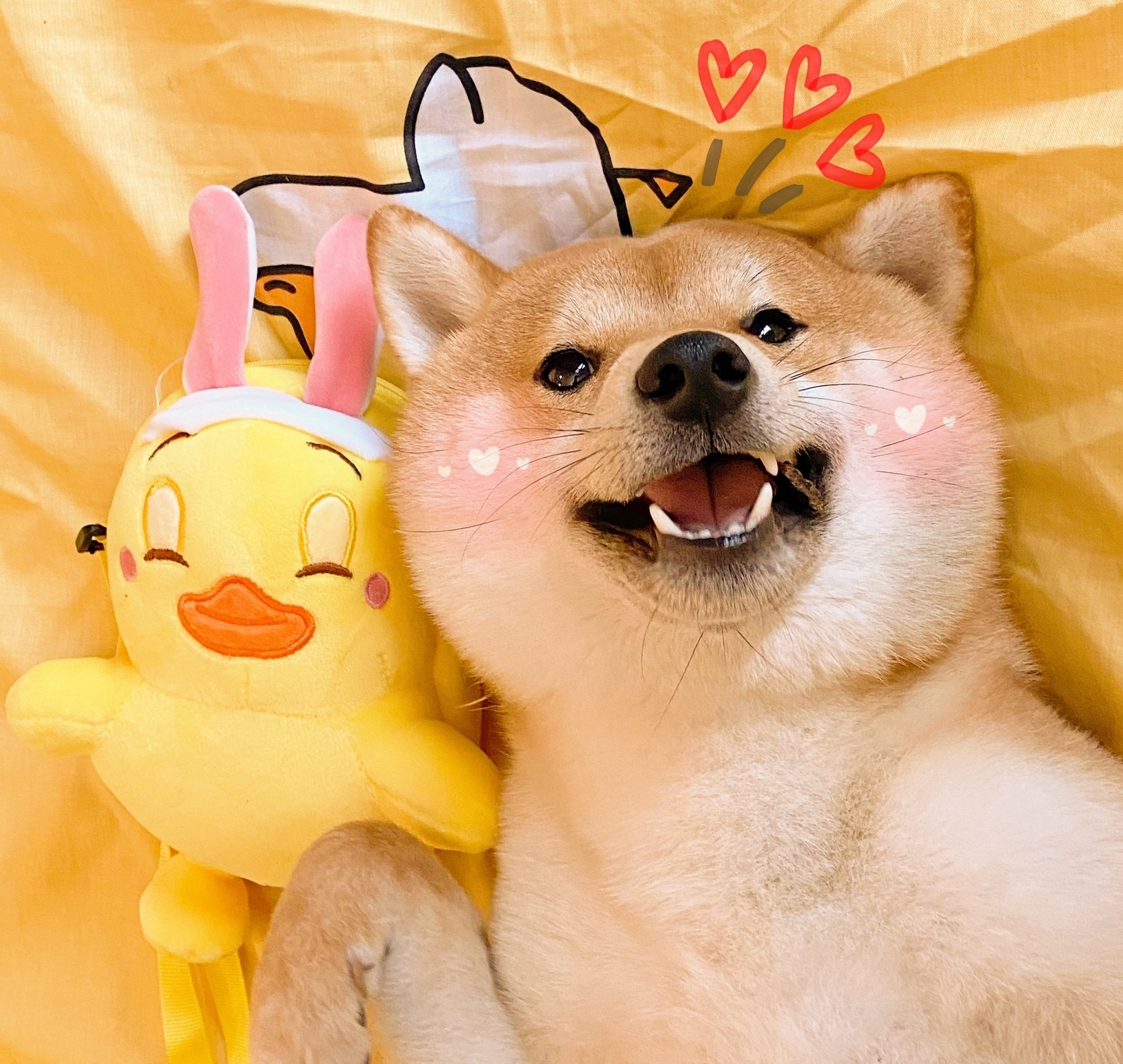 夸人的彩虹屁文案超长沙雕,发自拍搞笑文案沙雕朋友圈