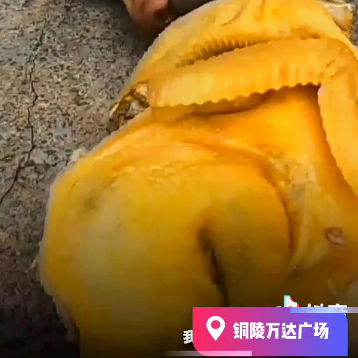 铜陵铜工业基地,安徽铜陵铜都发展史