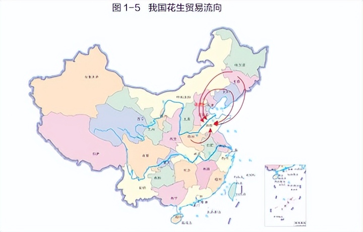 花生期货新手入门,花生期货2210