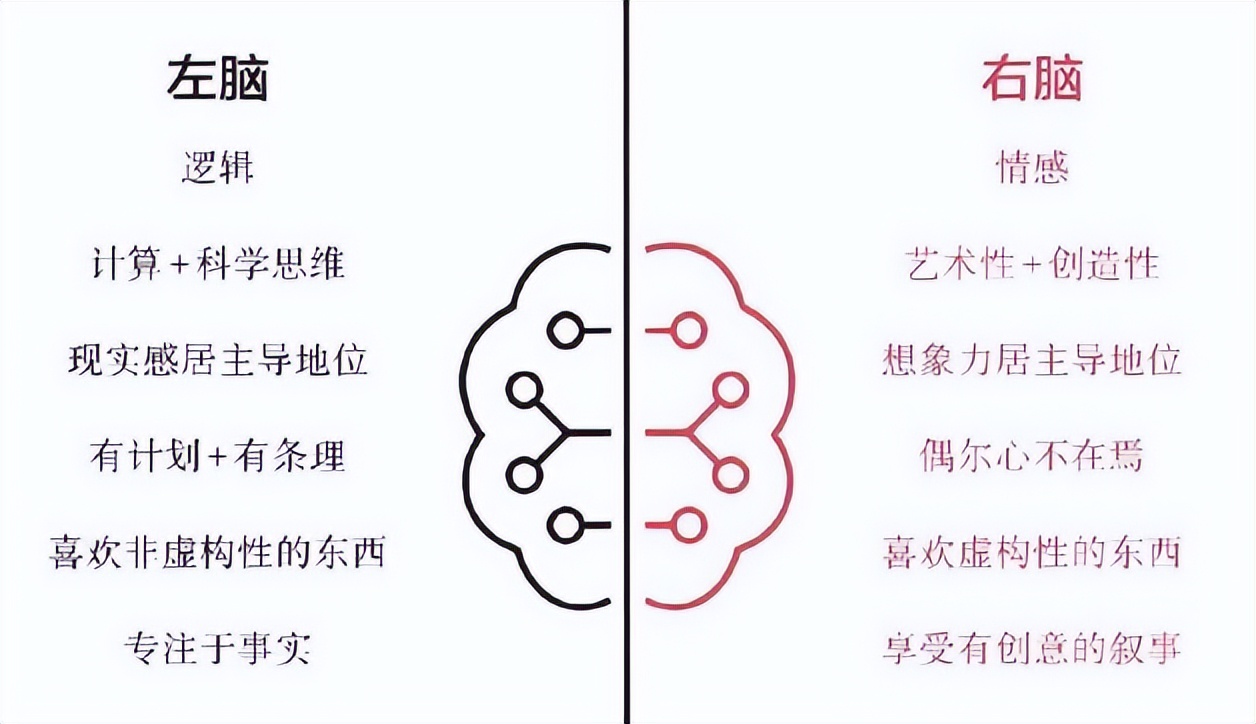 原则一书,沙雕动画