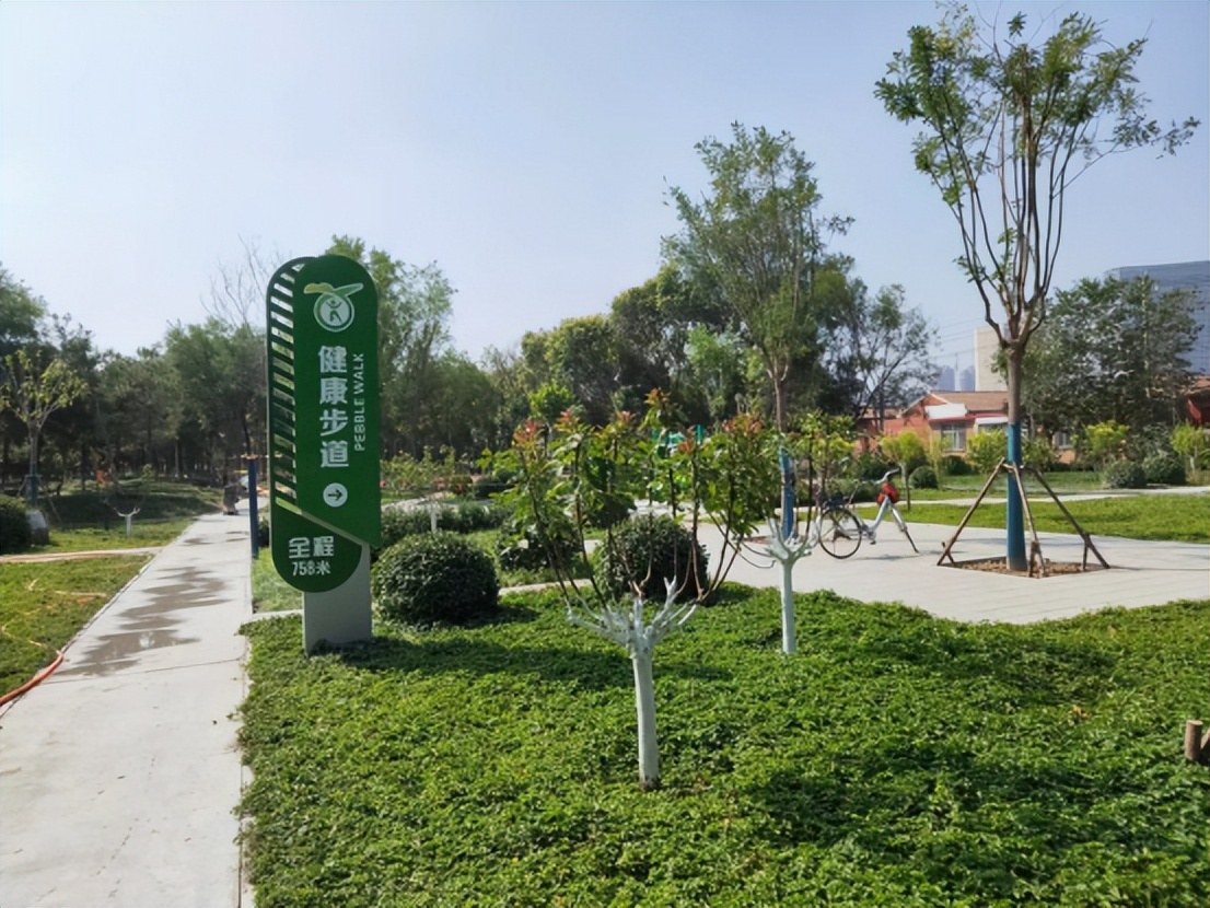 透过“半马”，看到更多的“体育DNA”……