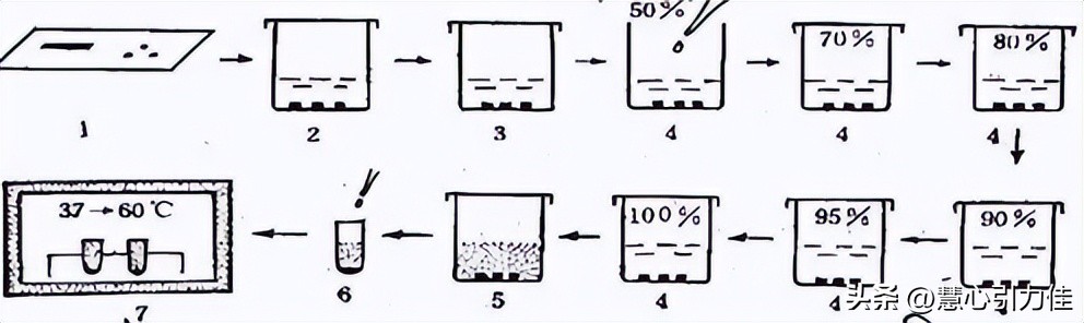 制样方法对IF钢透射电镜复型样品分析,样品的表面光洁度有何变化