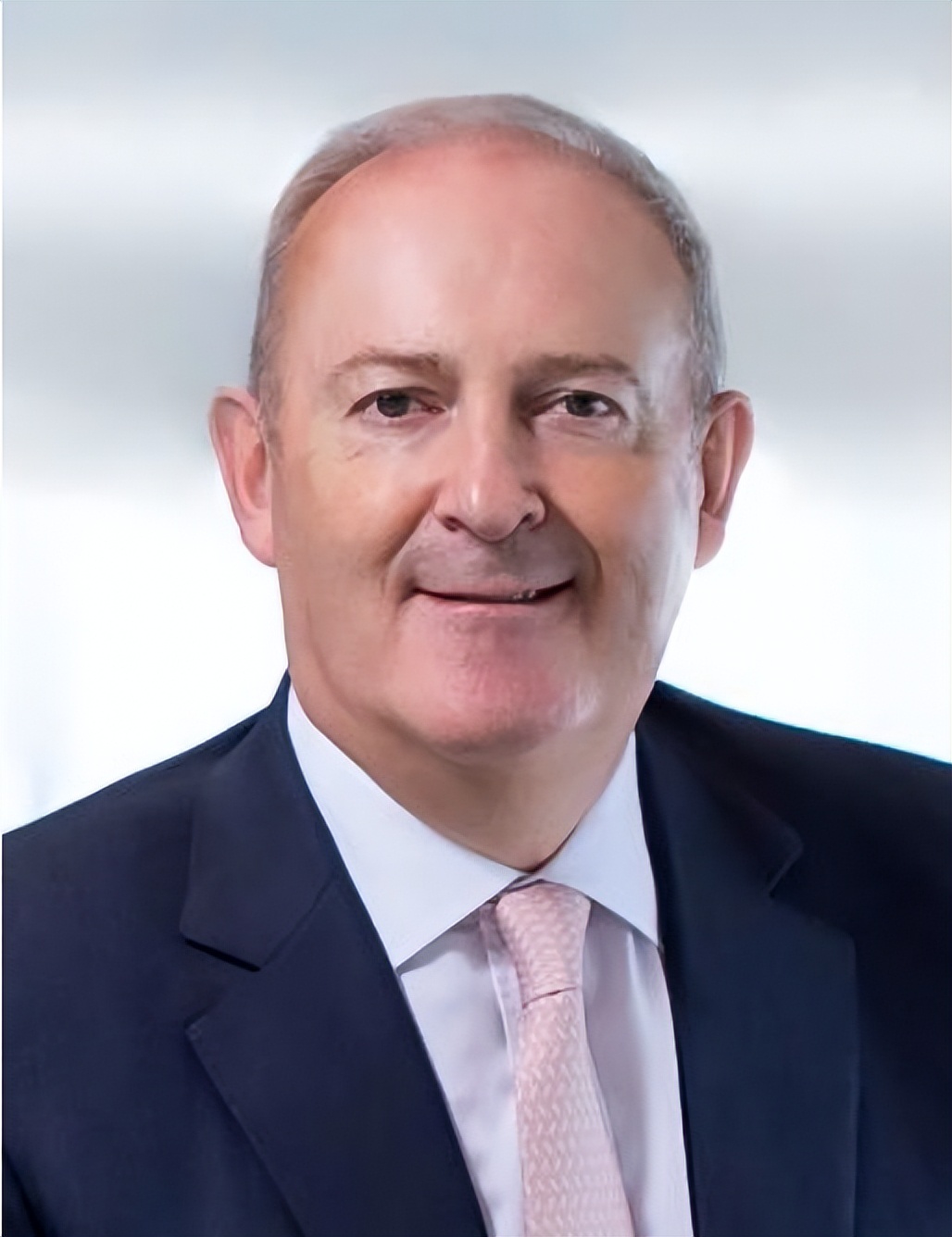 香港特首选举委员会顾问团,香港特区政府特首顾问团