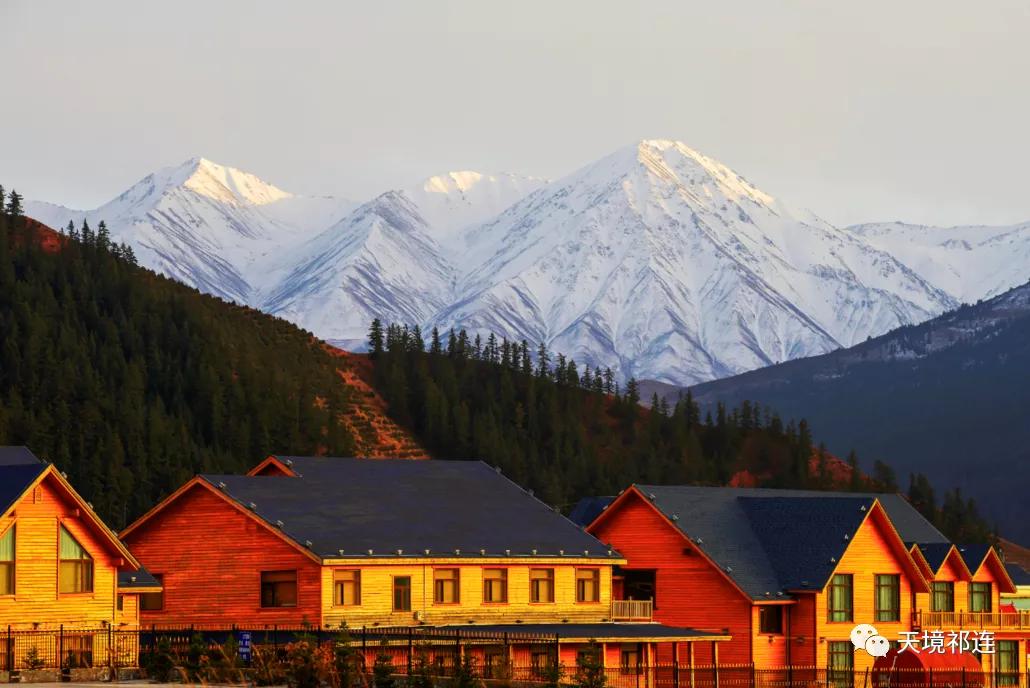 青海祁连山哪个位置最好,祁连山为什么一面森林一面草原