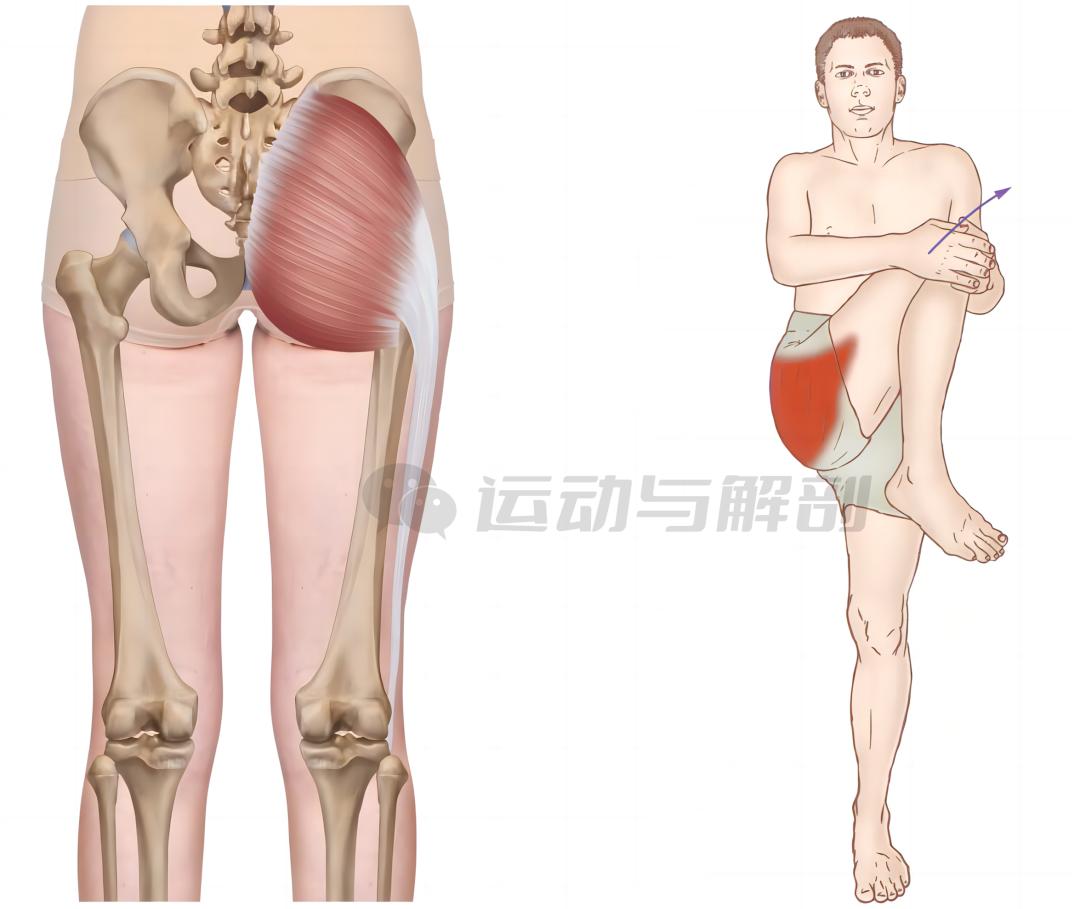 久坐僵硬的锻炼方法,久坐肌肉酸痛怎么缓解