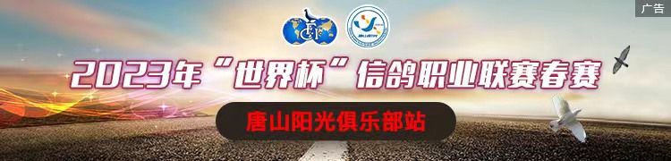 唐山阳光2024春赛总冠军,唐山阳光俱乐部秋赛