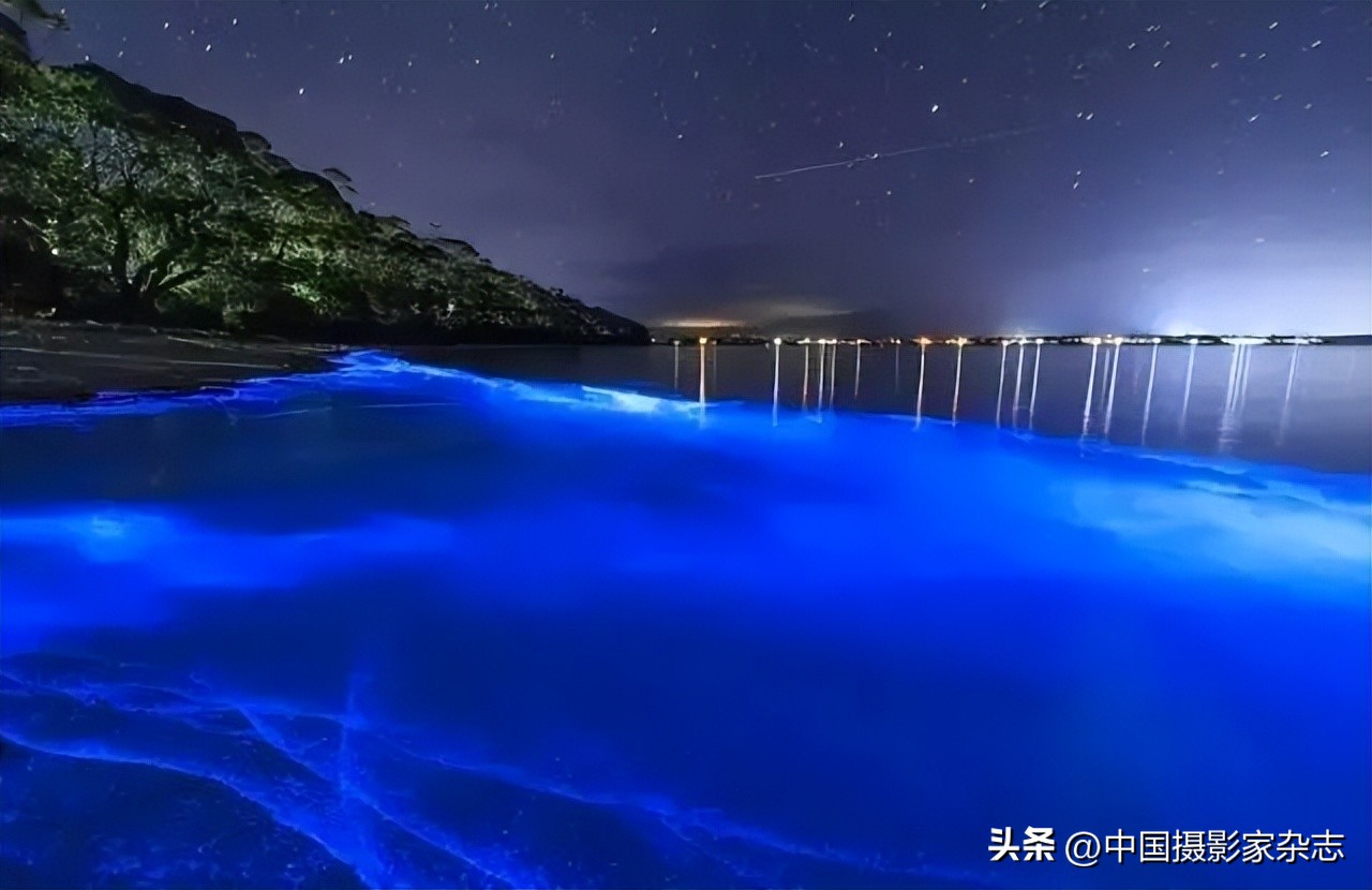 108张令人惊讶的历史与自然照片,有颠覆你认知的那张吗?