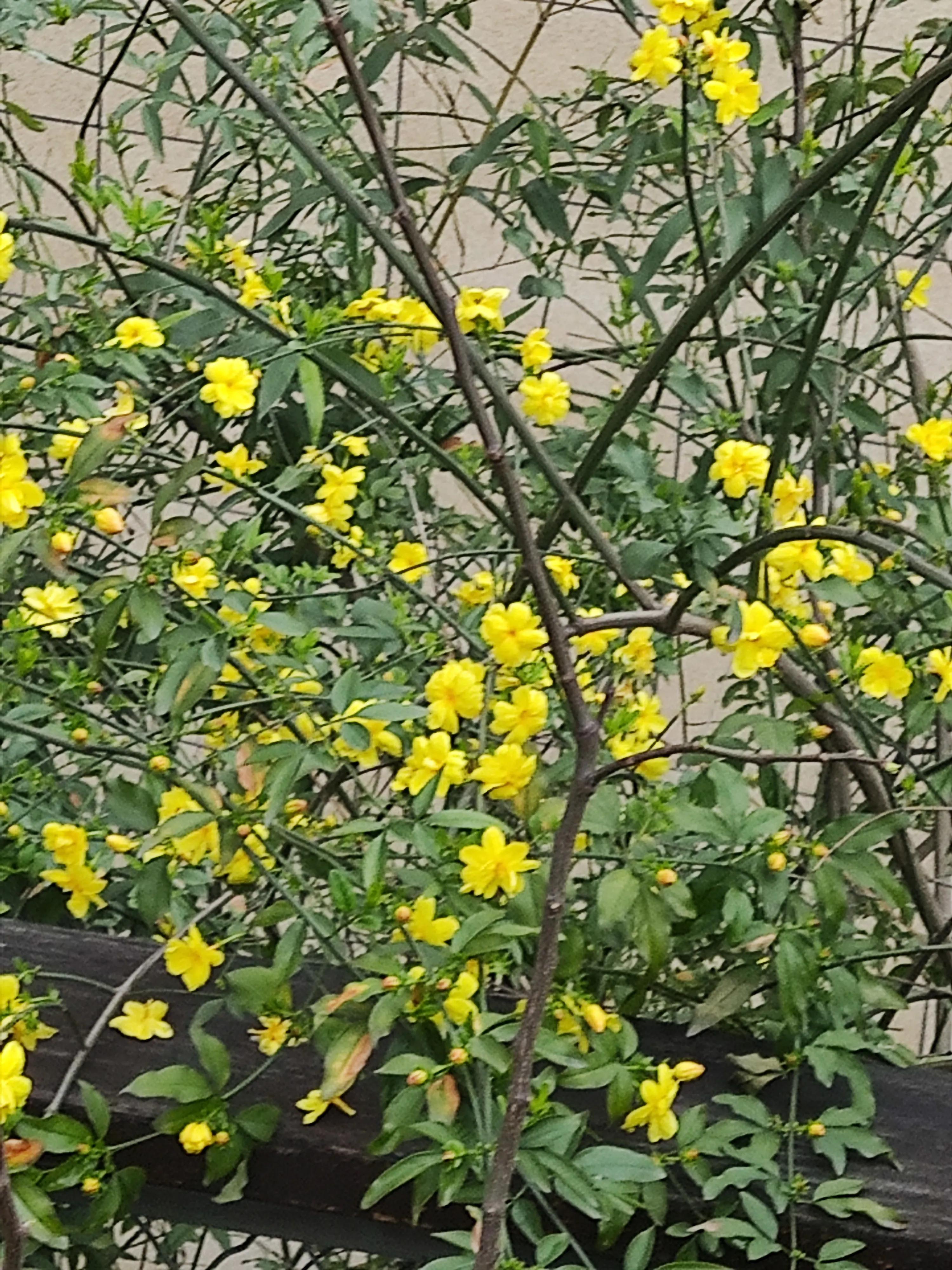 呼吸不通畅感觉气上不来咋回事,呼吸