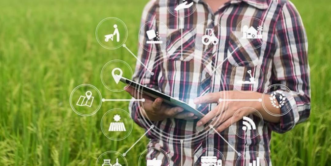 数字农业和智慧农业的区别,互联网背景下的智慧农业