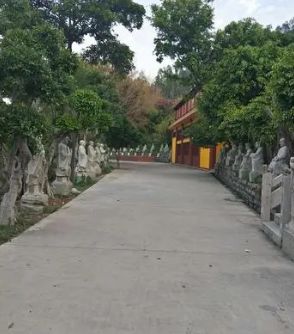 厦门必打卡10大景点推荐,厦门旅游景点必去十大景点自由行
