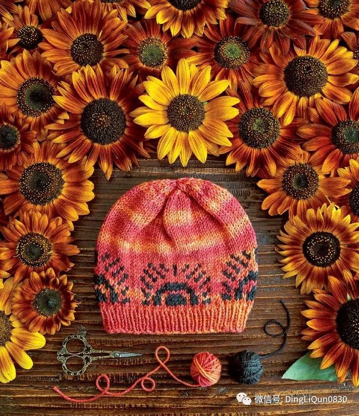 针织帽子花样大全视频,针织帽子创意